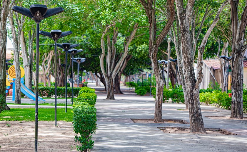 Inscrições abertas: Arapiraca sedia o XI Encontro Nordestino de Arborização Urbana em julho