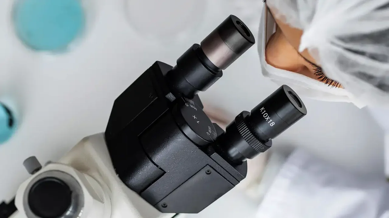 Ventilação enteral: conceito de ‘respirar pelo ânus’ se aproxima de tratamento real; entenda