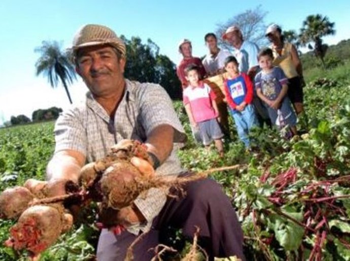 Garantia-safra: agricultores familiares receberão recursos a partir de outubro