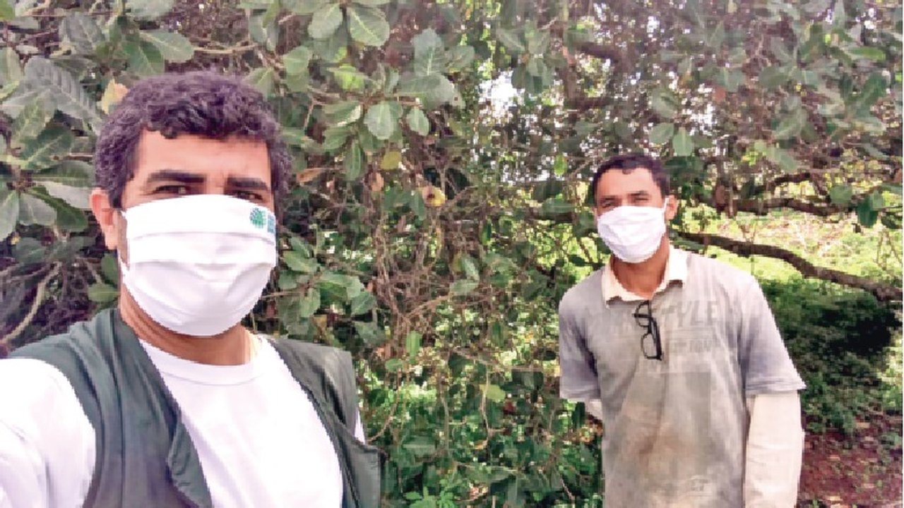 Agronordeste: Senar inicia assistência  técnica para 60 fruticultores em Palmeira