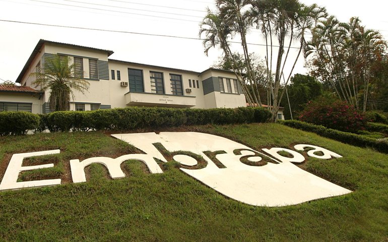 Sucesso nacional da agropecuária, Embrapa está com rombos no orçamento; entenda o porquê