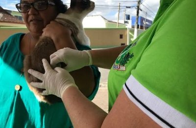 Dia D de vacinação antirrábica será realizado neste sábado em mais de 70 pontos de Arapiraca 
