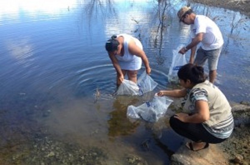 Projeto “Peixe Vivo” em Delmiro Gouveia: Parceria que deu certo!