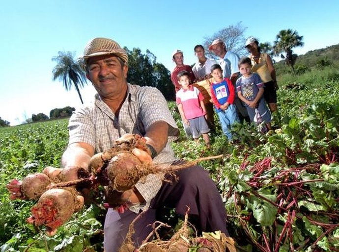 Planejamento lança estudos que auxiliam políticas públicas no Estado