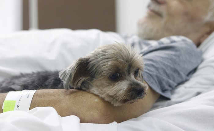 Paciente internado recebe visita de cachorrinha de estimação