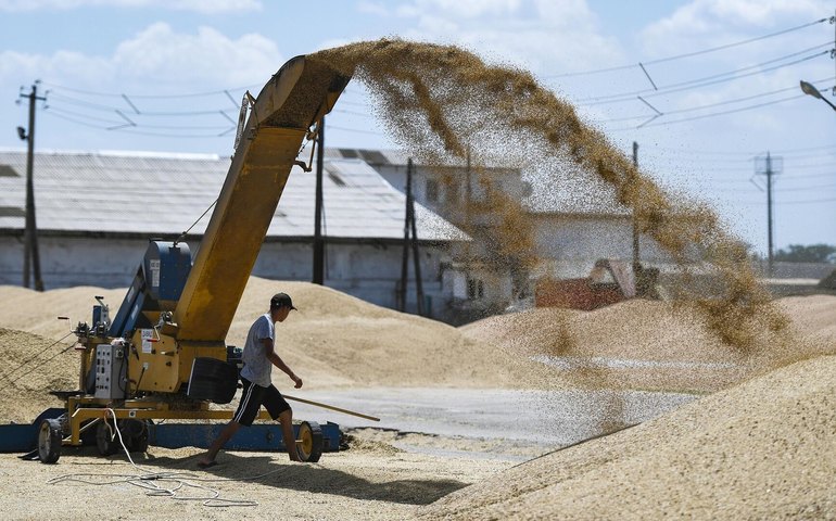 BRICS vai aprimorar a ideia sobre uma bolsa de grãos em 2025, diz ministra russa