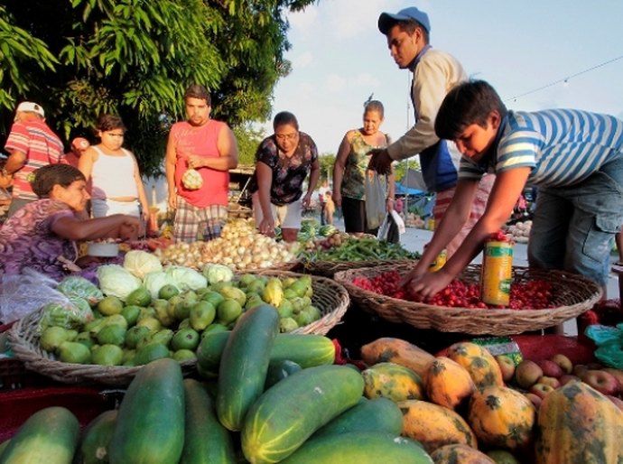 Com apoio do Governo, 3ª edição da Feira Agrária ocorre em Maceió
