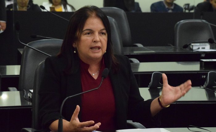 Deputada Fátima Canuto criou a lei, regulamentada na semana passada pelo governador de Alagoas