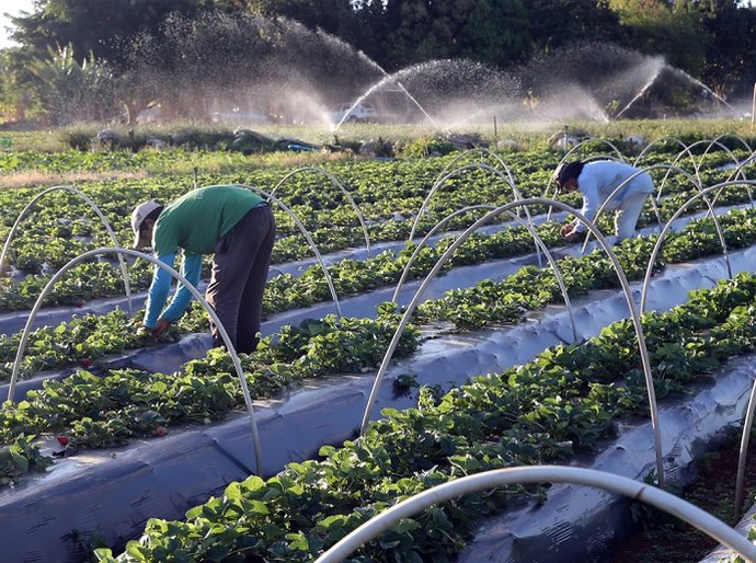 FNE 2026 fortalece agricultura familiar, microcrédito e economia criativa no Nordeste