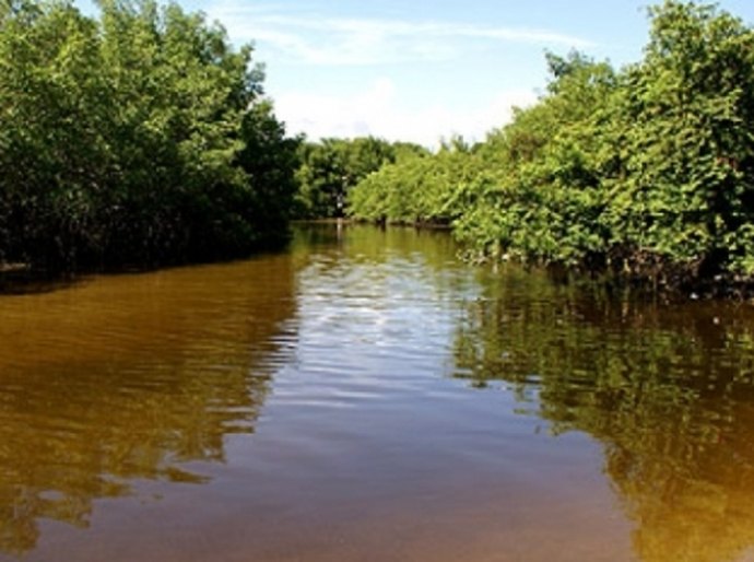 Bacia do Rio Niquim será protegida por mosaico de Reservas Particulares