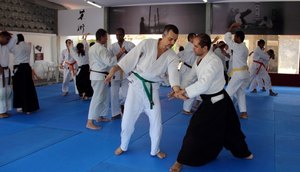 budo