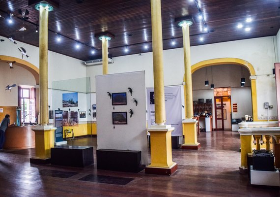 Exposição “A Caatinga do Sertão Alagoano” é estendida até 31 de julho no Misa