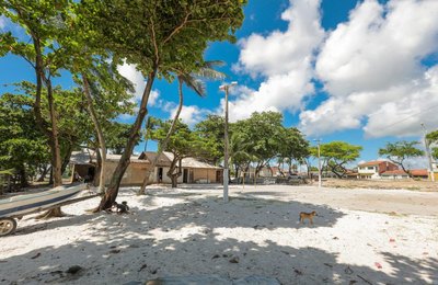 Portaria institui Grupo de Trabalho que irá realizar diagnóstico sobre animais na orla lagunar