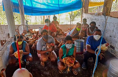 Emater quintuplica o número de famílias de avicultores atendidas em União dos Palmares