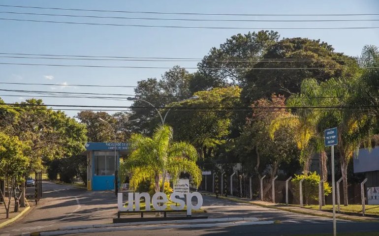 Em parceria com a Universidade Aberta do Brasil, Unesp oferece cursos gratuitos de especialização para profissionais da saúde e da educação