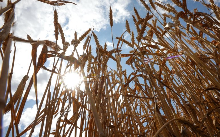 'Salvaguardas' da União Europeia para proteger o setor agrícola podem prejudicar o Mercosul?