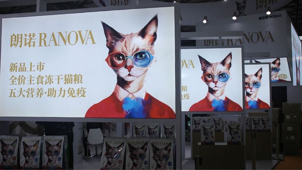 Maior feira de pets da China tem vestidos de gala, robôs de companhia e clones de cães: 'Juntos para sempre'