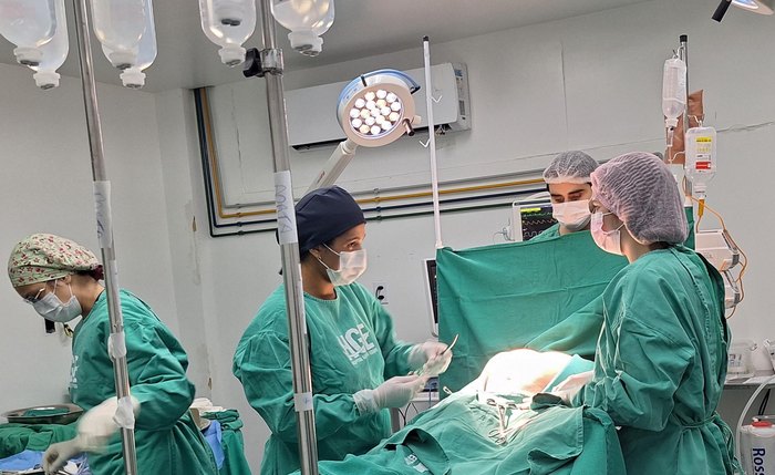 Equipe médica durante cirurgia para retirada de órgãos destinados para transplantes