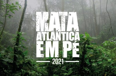 Operação Mata Atlântica em Pé é lançada em 17 estados