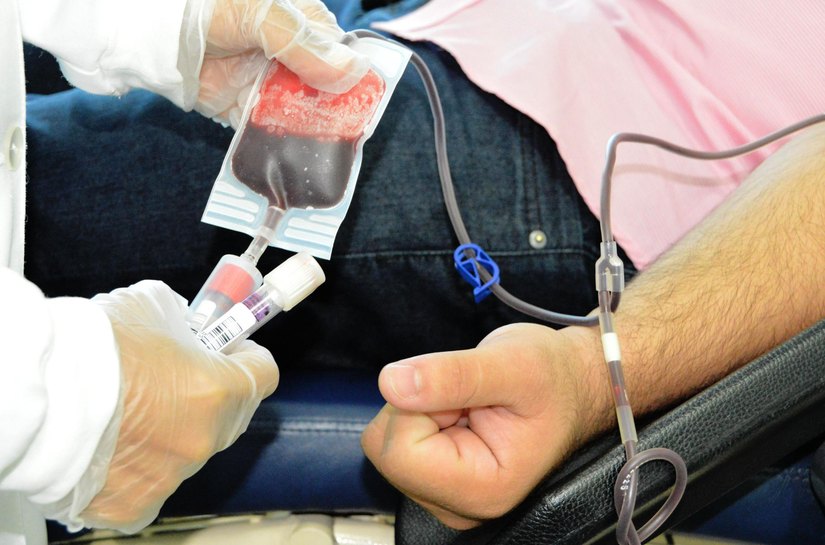 Hematologista do Hemoal destaca importância do cadastro para doação de medula óssea