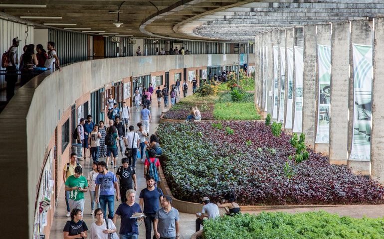 Universidades federais só preenchem 34% das cotas para estudantes trans e travestis