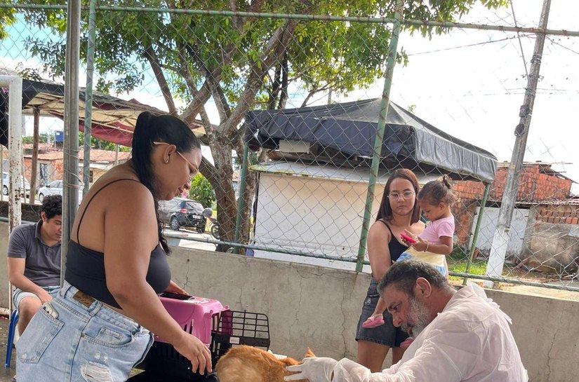 Atendimento veterinário gratuito beneficia tutores e pets no Ouro Preto