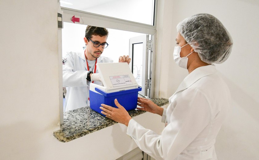 Hemoal assegura hemocomponentes a unidades de saúde e beneficia quase 300 pessoas no Carnaval
