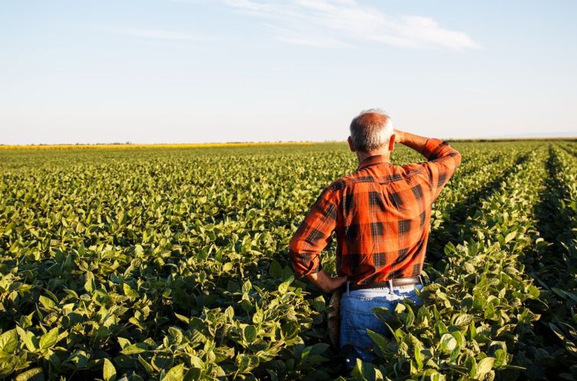 Prazo para envio do VTN termina em 30 de abril; CNM alerta os gestores