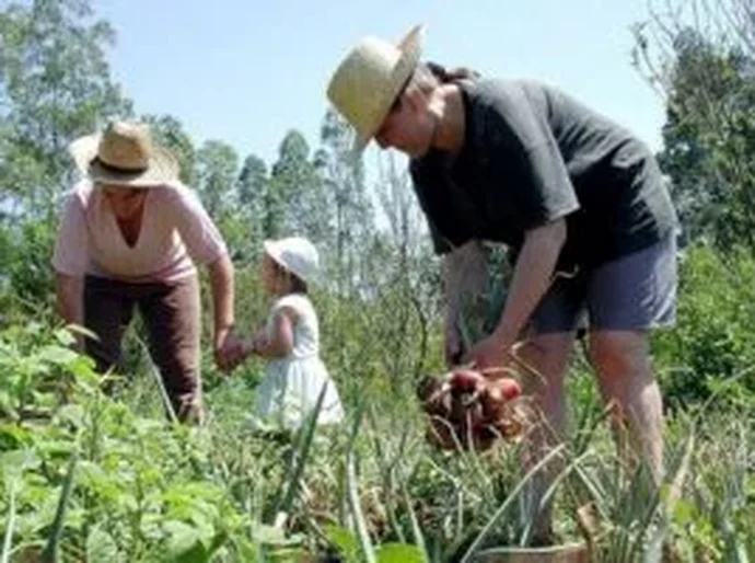 Lei amplia percentual para aquisição de alimentos da agricultura familiar pelo Pnae