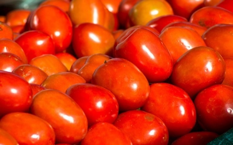 Conab: preços do tomate e da cenoura são destaques de alta em setembro no atacado