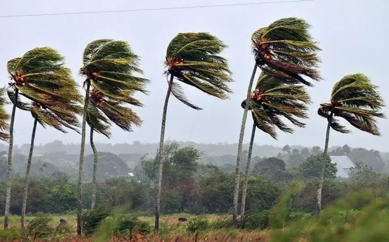 Semarh emite alerta para ventos fortes em Alagoas com rajadas que podem atingir 50 km/h
