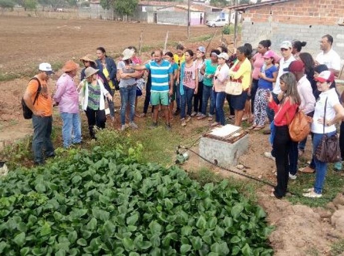 Agricultoras do Alto Sertão conhecem experiência para reaproveitar água