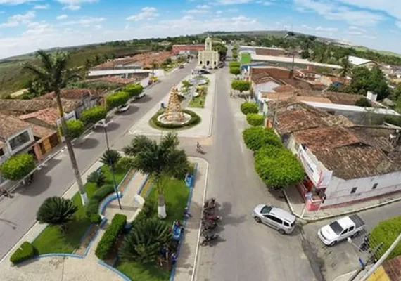 Idoso morre após ataque de abelhas na zona rural de Junqueiro