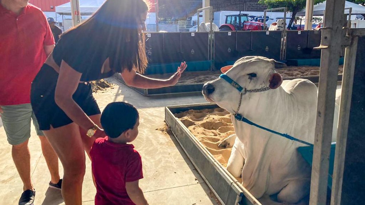 Mais de 18 mil pessoas já visitaram a 72ª Expoagro Alagoas