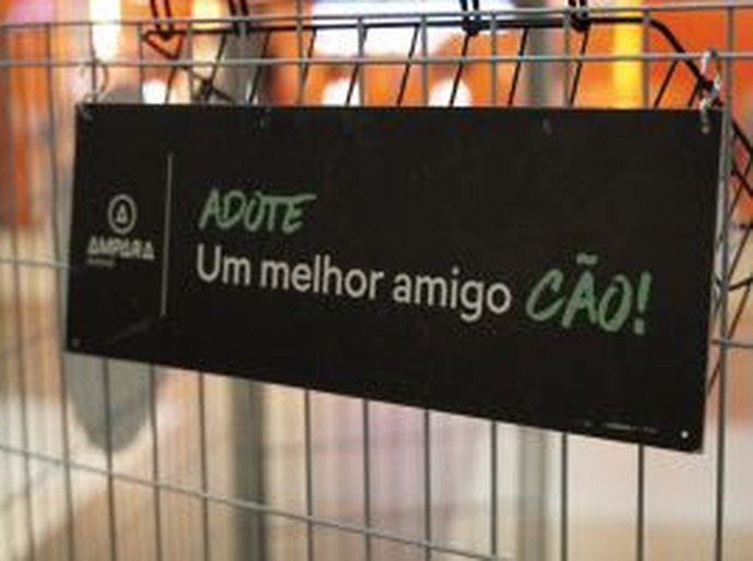 Sam's Club Maceió recebe campanha de adoção responsável de cães e gatos