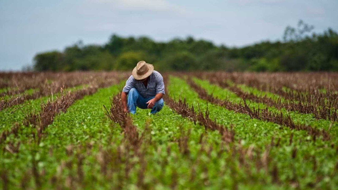 Governo de Alagoas apresenta estimativa do Produto Interno Bruto alagoano