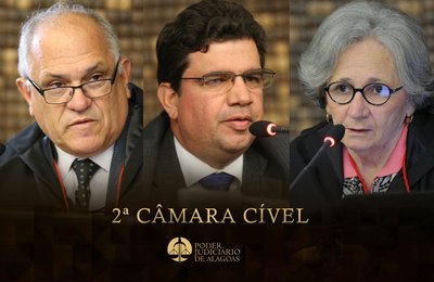 2ª Câmara Cível realiza 4.042 julgamentos de recursos em 2021