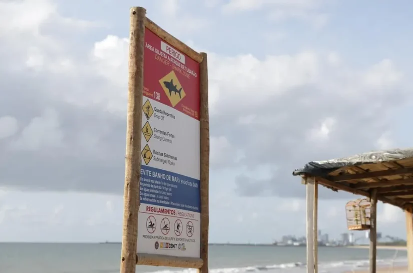 Vítimas de ataques de tubarão estão internadas na UTI em Pernambuco