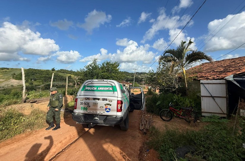 PM apreende nove armas de fogo durante operações integradas do BPA em Alagoas