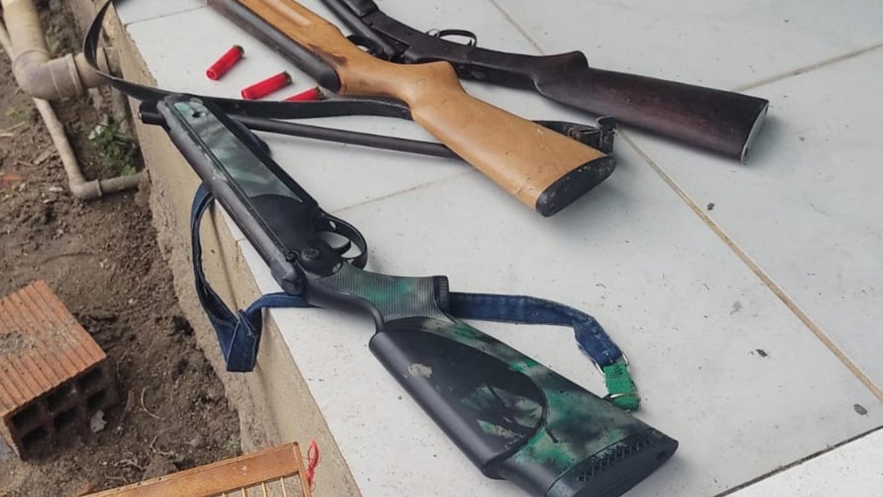 PM apreende armas, resgata 60 pássaros silvestres e interdita abate clandestino em Alagoas