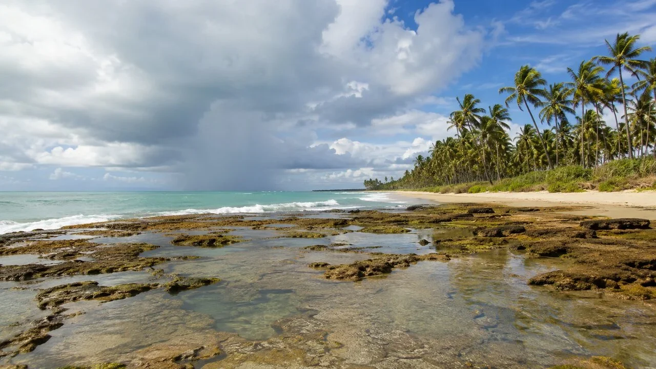 Litoral Norte terá manhã variável e tendência de abertura de sol ao longo desta quarta-feira