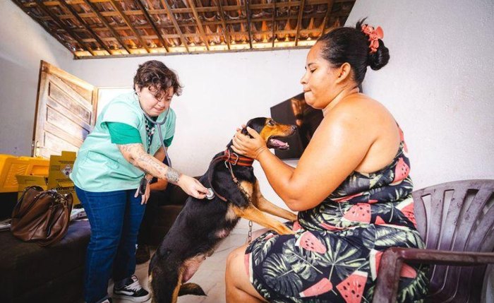 Consultas ocorrem nos domicílios Consultas ocorrem nos domicílios