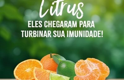 IFPA lança campanha em Alagoas para incentivar o consumo de frutas cítricas