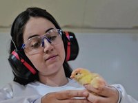 Foto inscrita por Ana Flavia Massalaka, de Ponta Grossa (PR)