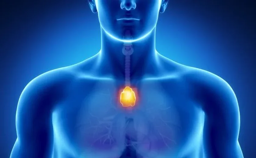Glândula tida como dispensável pode proteger contra o câncer