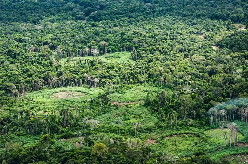 Amazônia tem 1,79 milhão de hectares com potencial de recuperação, apontam especialistas