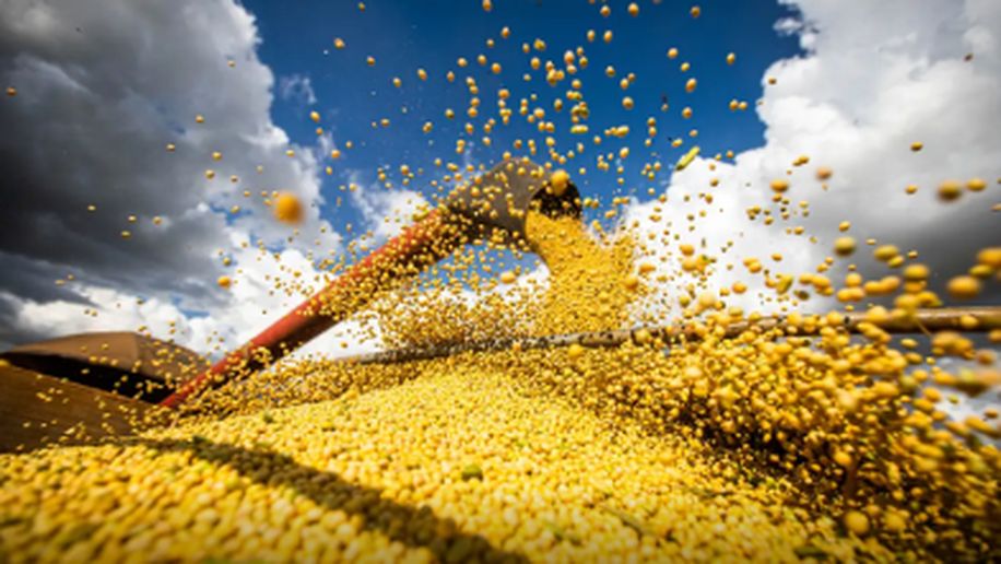 Produção agrícola brasileira superou R$ 927 bilhões em 2025