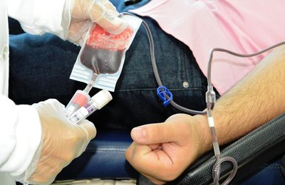 Saiba a importância do cadastro para doação de medula óssea