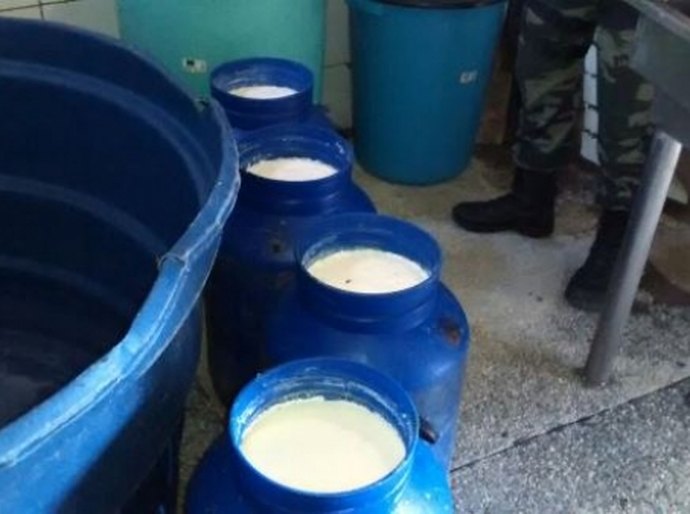 Laticínio clandestino é interditado em Palmeira dos Índios