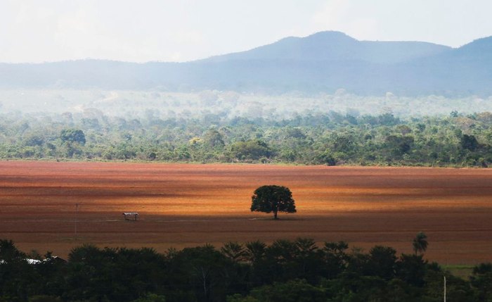 Governo federal quer que reduzir limites de 60 florestas e reservas ambientais